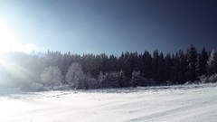 Landscapes nature winter snow