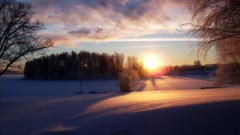 Landscapes nature winter snow