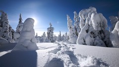 Landscapes nature winter snow