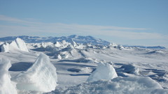 Landscapes nature winter snow