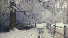 Landscapes nature winter snow landscapes