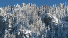 Landscapes nature winter Trees
