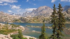 Landscapes nature Wyoming forests National