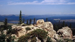 Landscapes nature Wyoming forests National