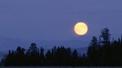 Landscapes nature Wyoming Harvest Moon