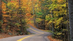 Landscapes nature yellow autumn asphalt lines Wood leaf