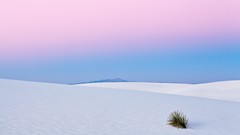 Landscapes new mexico white sands