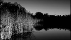 Landscapes night dark black and white France monochrome lakes 