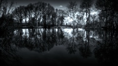 Landscapes night lakes