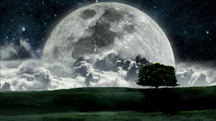Landscapes night moon
