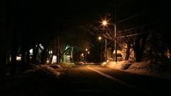 Landscapes night roads lamp posts