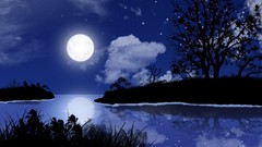 Landscapes night Wood