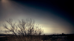 Landscapes nine inch nails