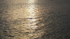 Landscapes ocean Beaches