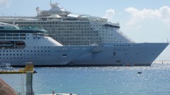 Landscapes ocean ships port Seals dock