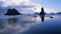 Landscapes Oregon Beaches