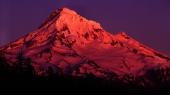 Landscapes Oregon Mt. Hood