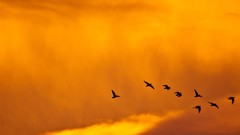 Landscapes outdoors multiscreen skyscapes