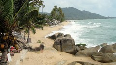 Landscapes palm trees Beaches