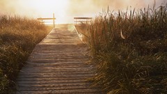 Landscapes panorama dock multiscreen