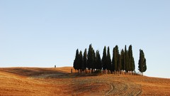 Landscapes panorama Italy italia Tuscany relaxing toscana