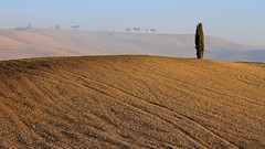 Landscapes panorama Italy italia Tuscany relaxing toscana