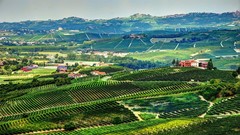 Landscapes panorama Italy vines italia Piemonte Langhe