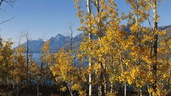 Landscapes panorama multiscreen