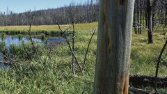 Landscapes panorama multiscreen