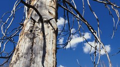 Landscapes panorama multiscreen