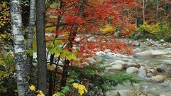 Landscapes panorama multiscreen