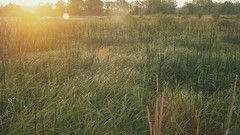 Landscapes panorama multiscreen