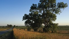 Landscapes panorama multiscreen