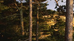 Landscapes panorama multiscreen