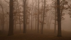 Landscapes panorama multiscreen