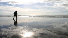 Landscapes panorama silhouettes