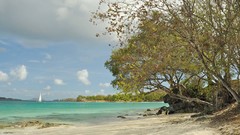 Landscapes paradise bay Beaches