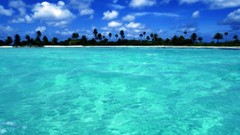 Landscapes paradise palm trees Beaches