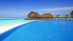 Landscapes paradise swimming pools