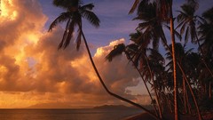 Landscapes paradise tropical