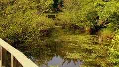 Landscapes Park Canada quebec forests