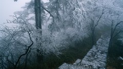 Landscapes paths frost