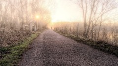 Landscapes paths sunlight