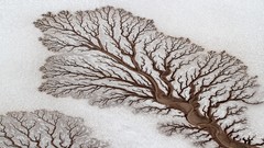 Landscapes patterns Mexico national geographic rivers deserts