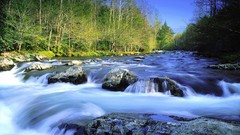 Landscapes Pigeons little national park Tennessee great smoky 