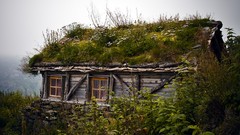 Landscapes Plants Rural cottage houses