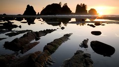 Landscapes point Washington Beaches national park