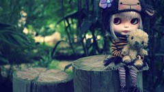 Landscapes Puppies Bears hats teddy bears