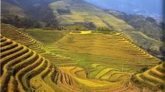 Landscapes pyramids awesome