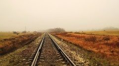 Landscapes railroads